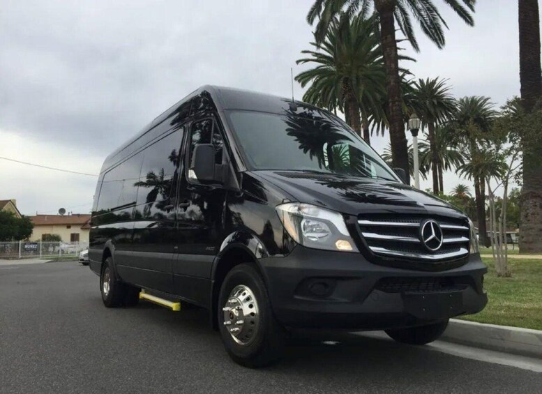 A black Mercedes van parked on a street with palm trees and a building in the background. 2