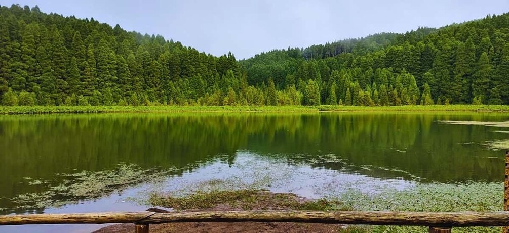A calm lake surrounded by dense forest. 4