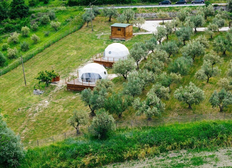 Un paysage rural avec trois structures en forme de dôme, entourées d’oliviers. 3