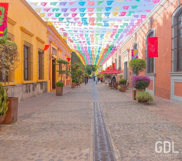 Picture 16 for Activity Guadalajara: Premium Tequila Tour with Tastings and Pairings 4