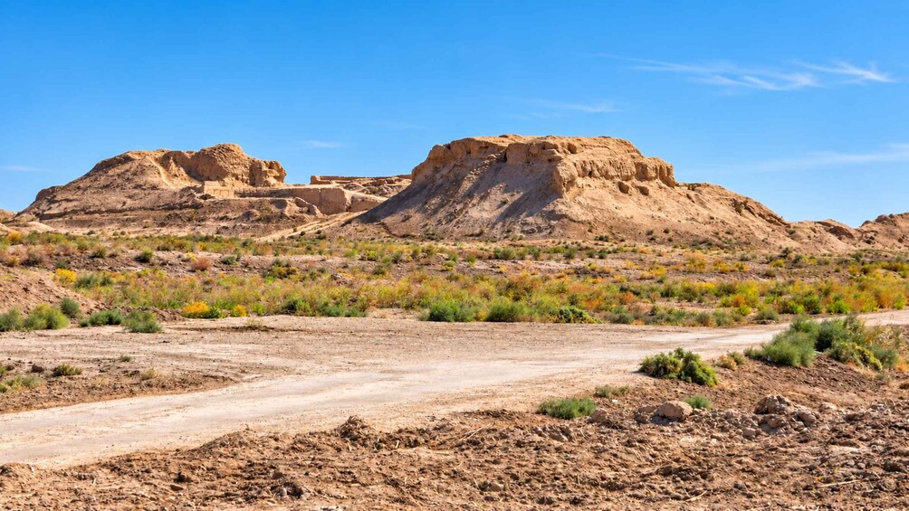 Picture 6 for Activity Transfer: Bukhara to Khiva via the Top 3 Ancient Fortresses 3