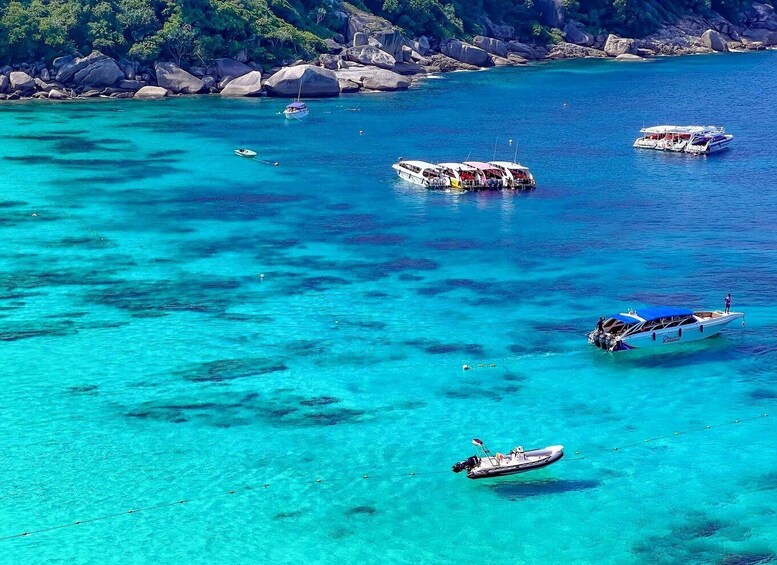 Picture 24 for Activity From Khao Lak: Similan Islands Day Trip with Snorkeling 5