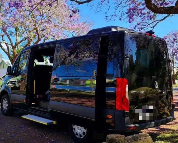A black van parked on a street with cherry blossoms in the background. 2