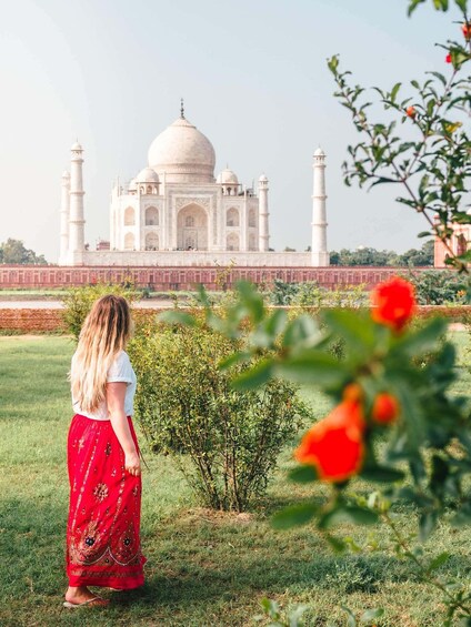 A person standing in a grassy area with a view of the Taj Mahal in the background. 3