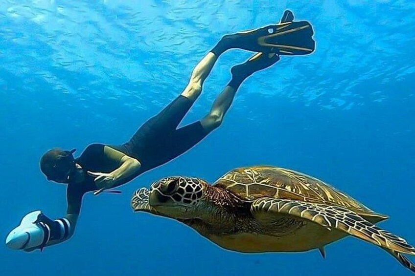 Sea Scooter Snorkel Tour - Guided Ocean Safari + Reef and Lagoon Adventure 3
