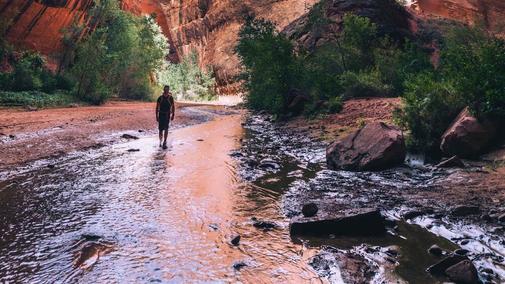 A person walking along a riverbed surrounded by red rock formations and greenery. 3