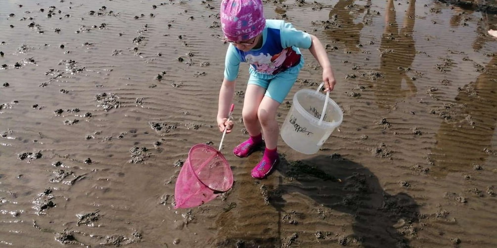 Picture 2 for Activity Butjadingen: Guided mudflat hike in the World Natural Heritage Site 5