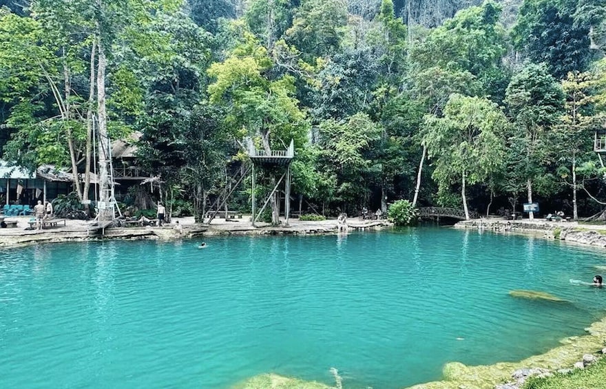 A turquoise pool surrounded by lush greenery and a wooden structure. 3