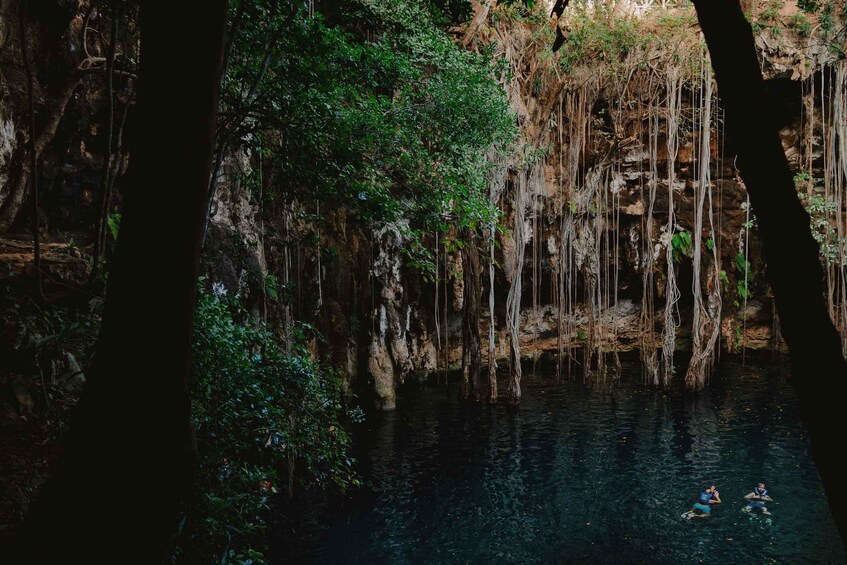 A serene river surrounded by dense vegetation and trees. 5