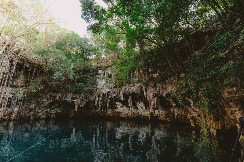 A serene cave entrance with water reflecting the surrounding greenery and rock formations. 2