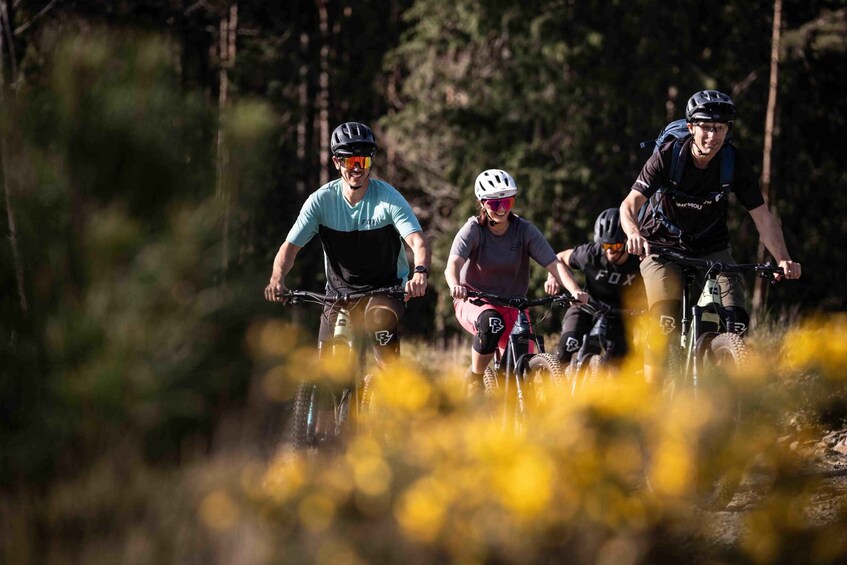 Three mountain bikers on a trail surrounded by trees and yellow flowers. 1