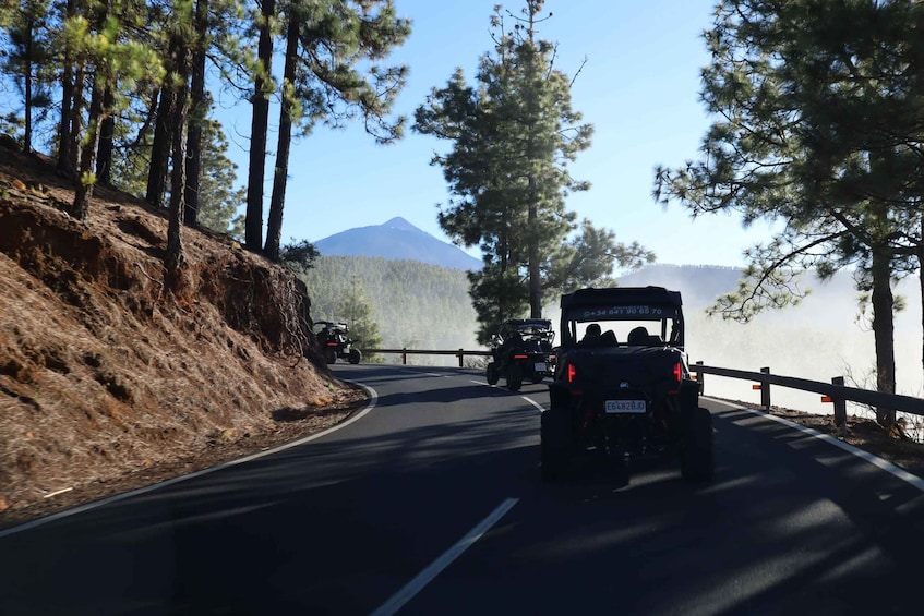 Picture 34 for Activity Puerto de la Cruz: Teide National Park Buggy Tour 5