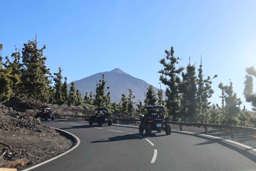 Picture 32 for Activity Puerto de la Cruz: Teide National Park Buggy Tour 2