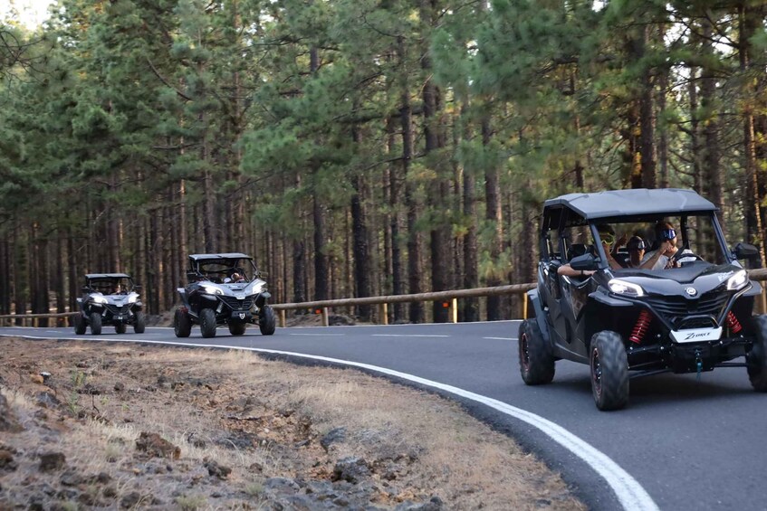 Picture 36 for Activity Puerto de la Cruz: Teide National Park Buggy Tour 4