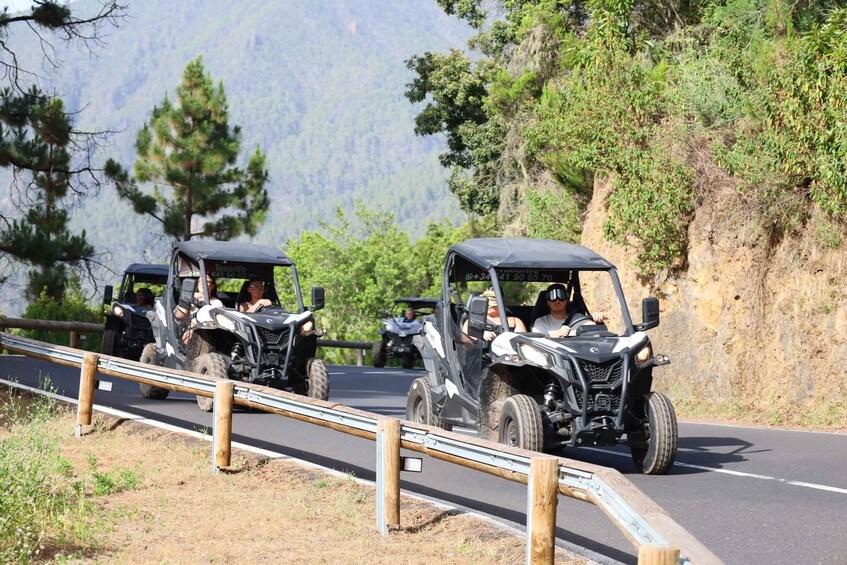 Picture 9 for Activity Puerto de la Cruz: Teide National Park Buggy Tour 2
