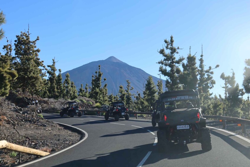 Puerto de la Cruz: Teide National Park Buggy Tour 1