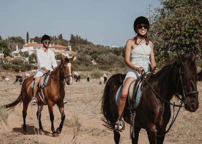 Two people riding horses in a rural area with houses and trees in the background. 4
