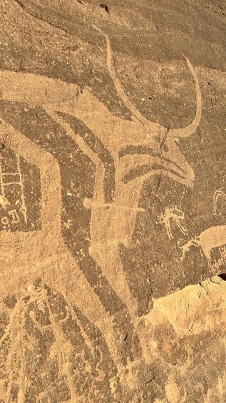 Picture 2 for Activity Najran: Al-Ukhdood & Hima Wells 2-Day Guided Tour 4