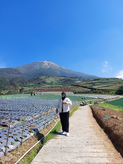 Magelang: Nepal Van Java & Negeri Sayur Sukomakmur Tour 1