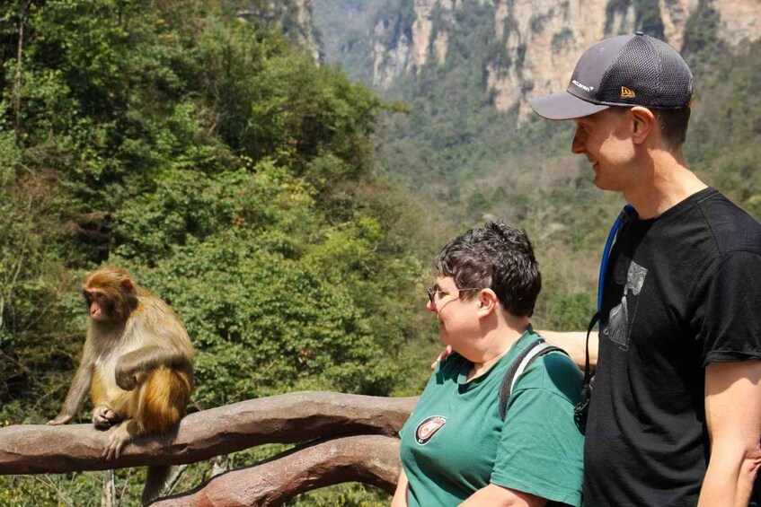 Picture 3 for Activity Zhangjiajie 3-Day Tour: Avatar, Tianmen, Glass Bridge 4