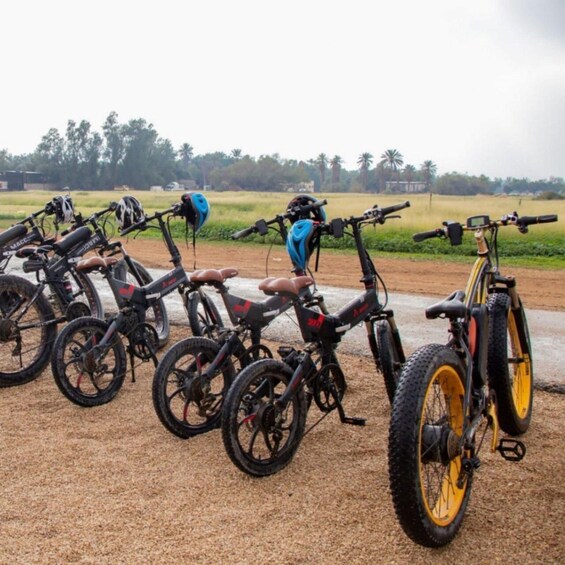 A row of bicycles parked on a gravel path with a rural landscape in the background. 3