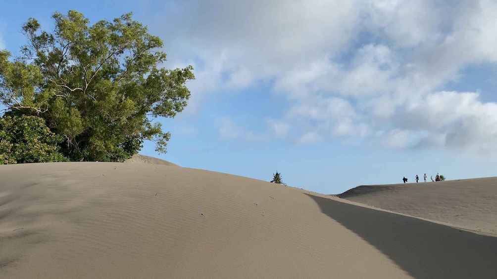 Picture 6 for Activity Yogyakarta: Half-Day Sand Dune Adventure & Sunset Live Show✅ 2