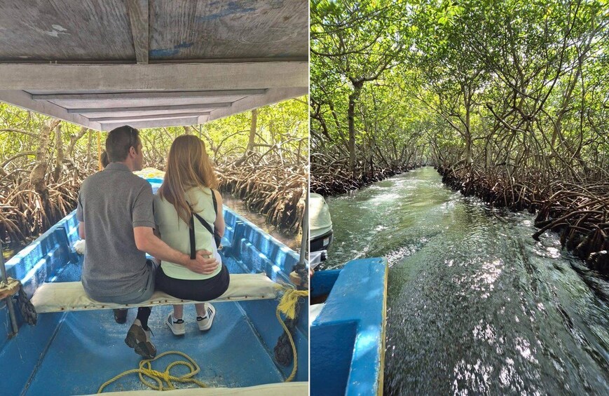 Un bote navegando por un canal de manglar rodeado de densos árboles de mangle. 1