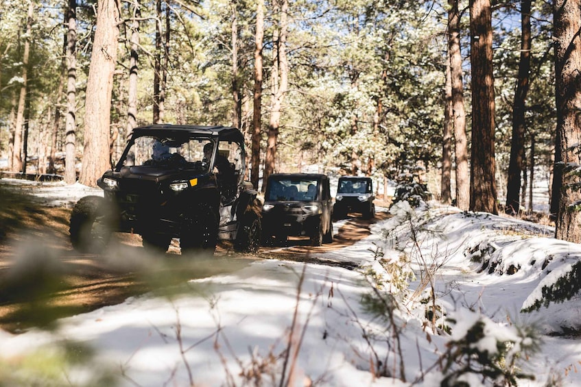 A forest with a dirt road and vehicles. 1