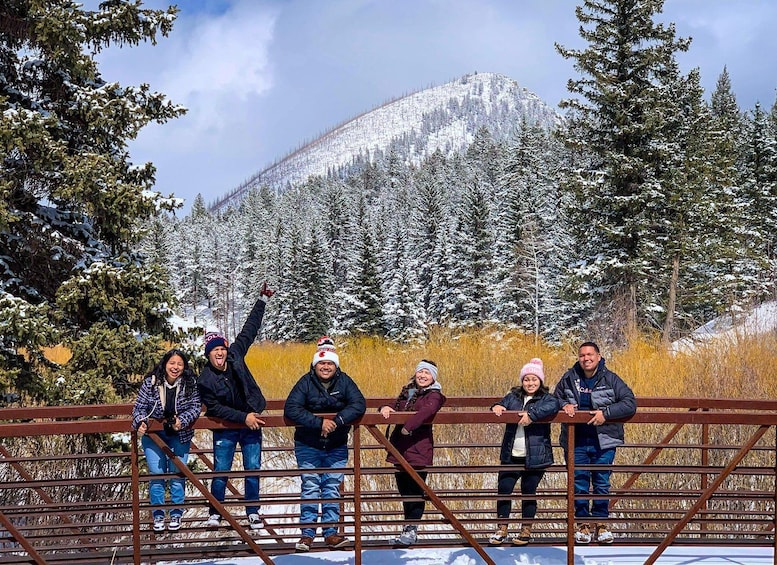 A group of people standing on a metal fence with a snowy mountain in the background. 2
