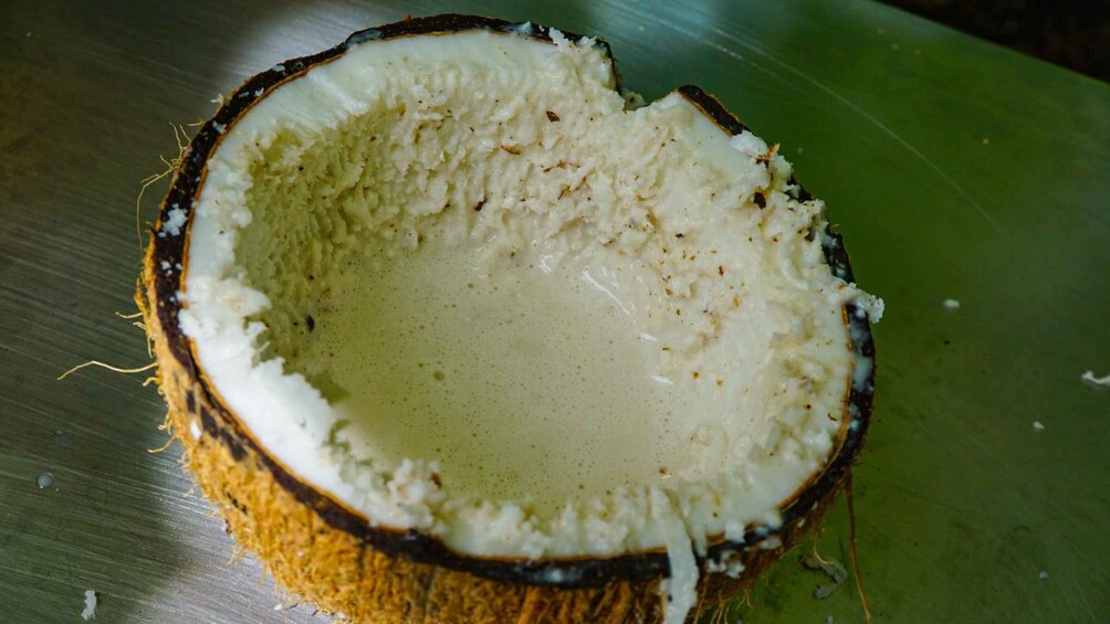 A half coconut with white flesh and a brown shell on a green surface. 1
