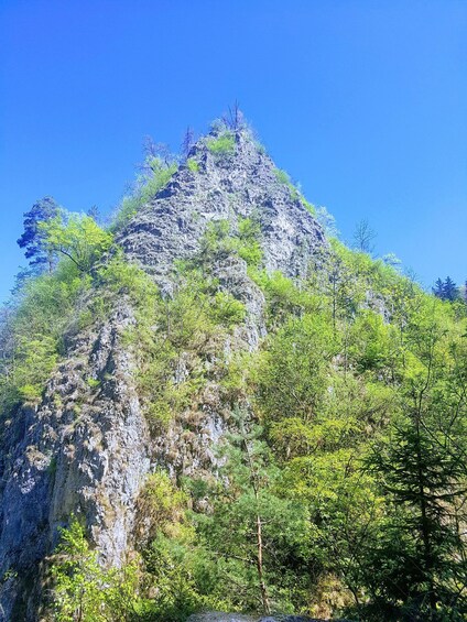 A rugged mountain with dense green foliage and rocky terrain. 4