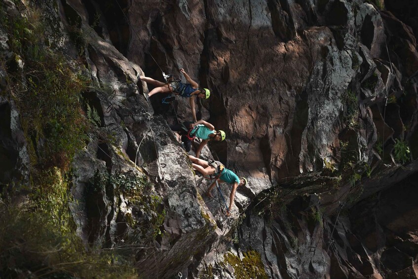 Picture 3 for Activity Bidarray: Via Ferrata adventure course in an exceptional natural setting 2