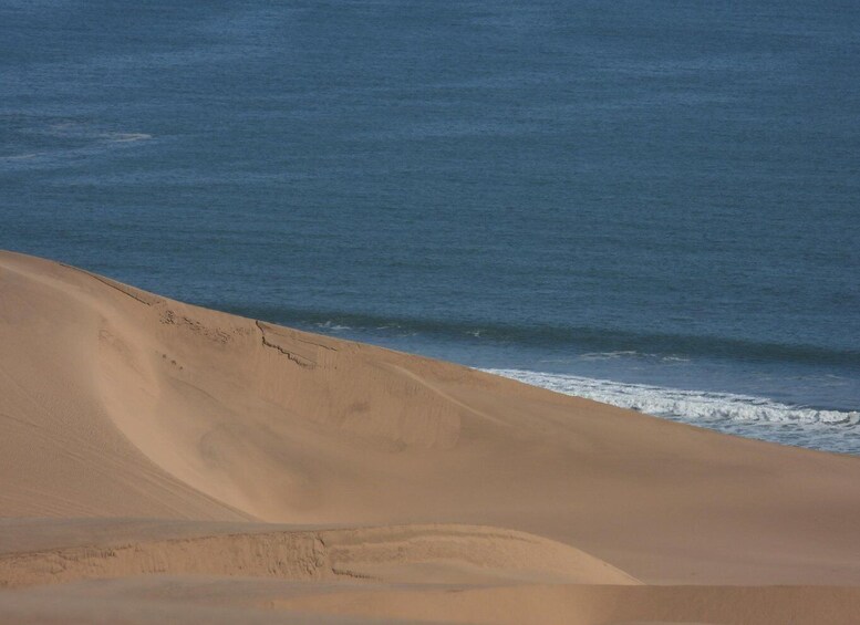 A sandy beach with gentle waves. 3