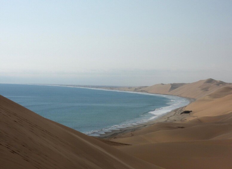 A coastal landscape with sand dunes and a beach. 1