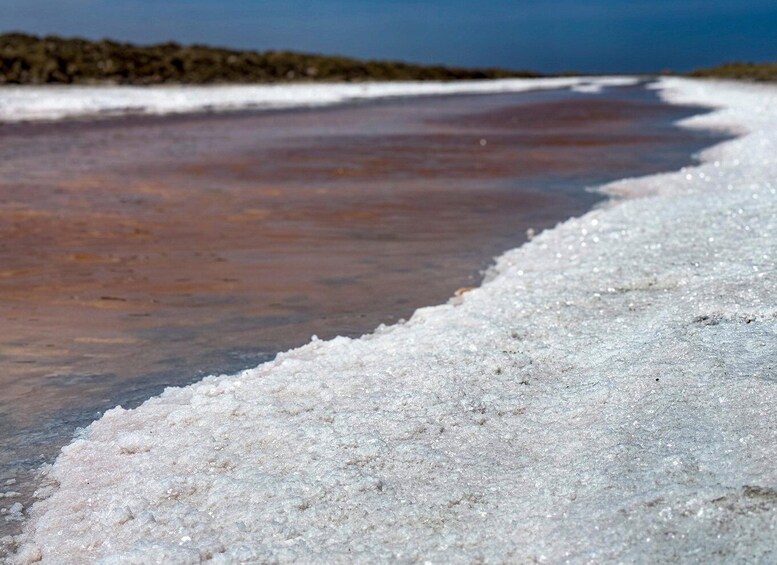 A salt flat with a wet area and a distant rocky shoreline. 2