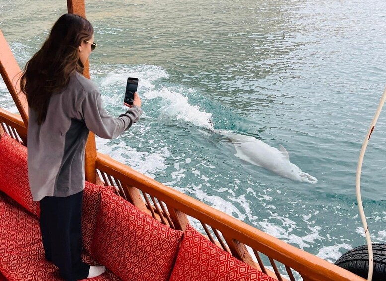 A person taking a photo of a polar bear swimming in the water. 1