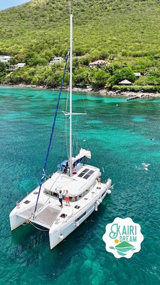 Martinique: Small-Group Catamaran Day Trip: Dolphins and Turtles 1
