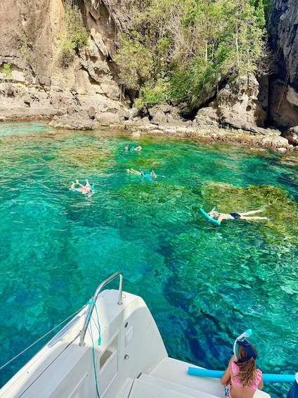 Picture 15 for Activity Martinique: Small-Group Catamaran Day Trip: Dolphins and Turtles 3