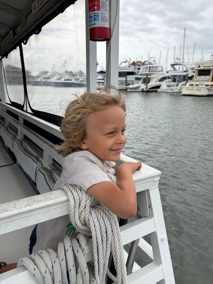 Picture 10 for Activity St. Augustine: Expert-Led Dolphin & Wildlife Eco Adventure 2