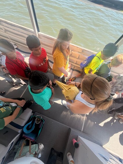 Picture 6 for Activity St. Augustine: Expert-Led Dolphin & Wildlife Eco Adventure 5