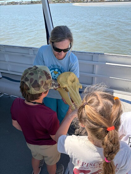 Picture 3 for Activity St. Augustine: Expert-Led Dolphin & Wildlife Eco Adventure 4