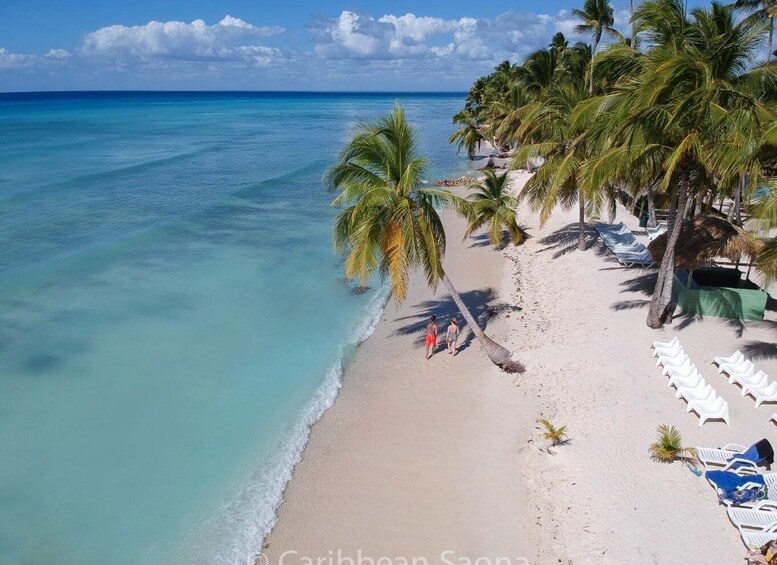 A beach with clear turquoise water, white sand, and palm trees. 2