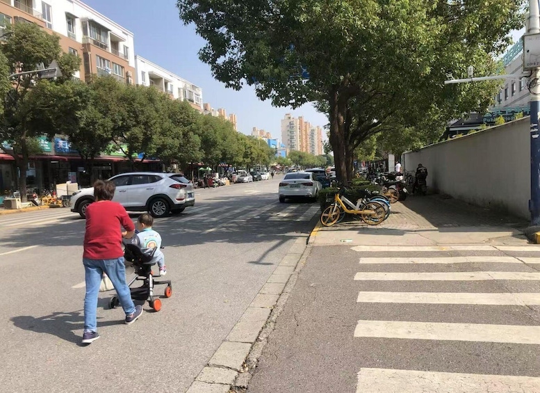 Picture 5 for Activity Shanghai: A Day of Immersive Suburban Life 5