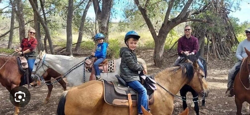Picture 2 for Activity Miami: Horses Rentals 3