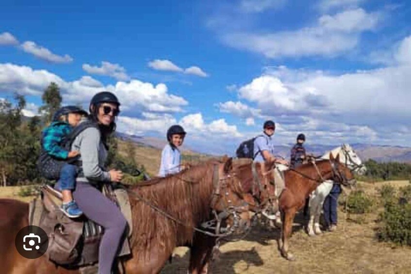 Picture 3 for Activity Miami: Horses Rentals 2