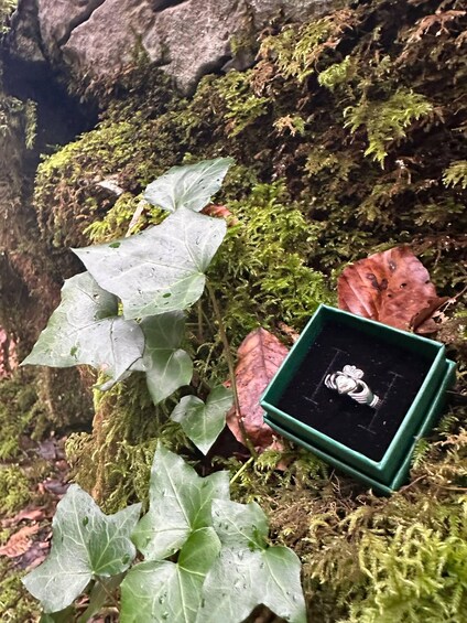 A ring in a green box on moss-covered rocks. 3