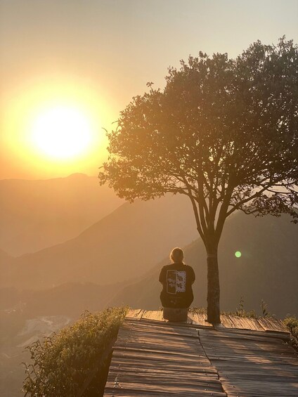 A person sitting on a wooden bench under a tree, overlooking a valley with mountains in the distance during sunset. 4