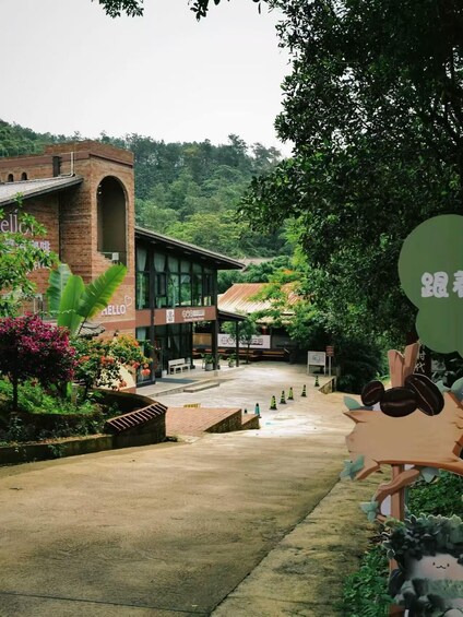 Picture 4 for Activity Yunnan Coffee Valley | Half-Day Road Trip 4
