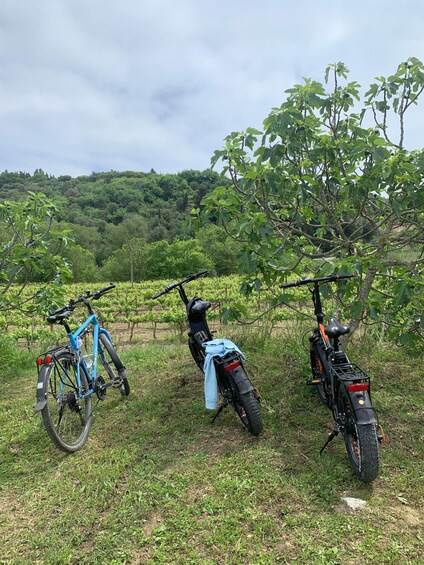 Picture 2 for Activity Kefalonia Wine Tour on E-Bikes 5