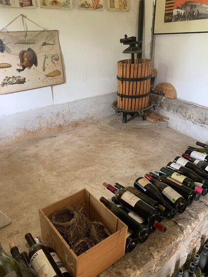 Picture 8 for Activity Kefalonia Wine Tour on E-Bikes 2